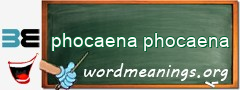 WordMeaning blackboard for phocaena phocaena